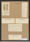 Biddulphia vittata Grove et Sturt. (de-Toni-Nr.: Genus 123, Species 3475) Zeichnungen Sammlung Grunow Nr. 6973 (NHMW-BOT-W0375871)